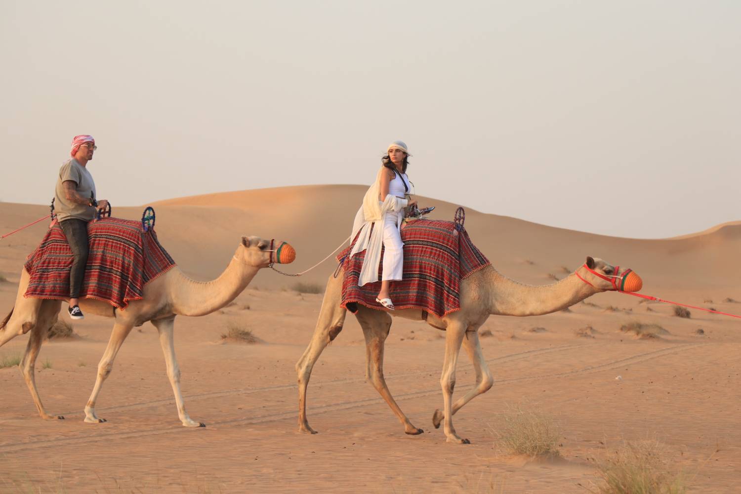Evening Desert Safari with Camel Trekking